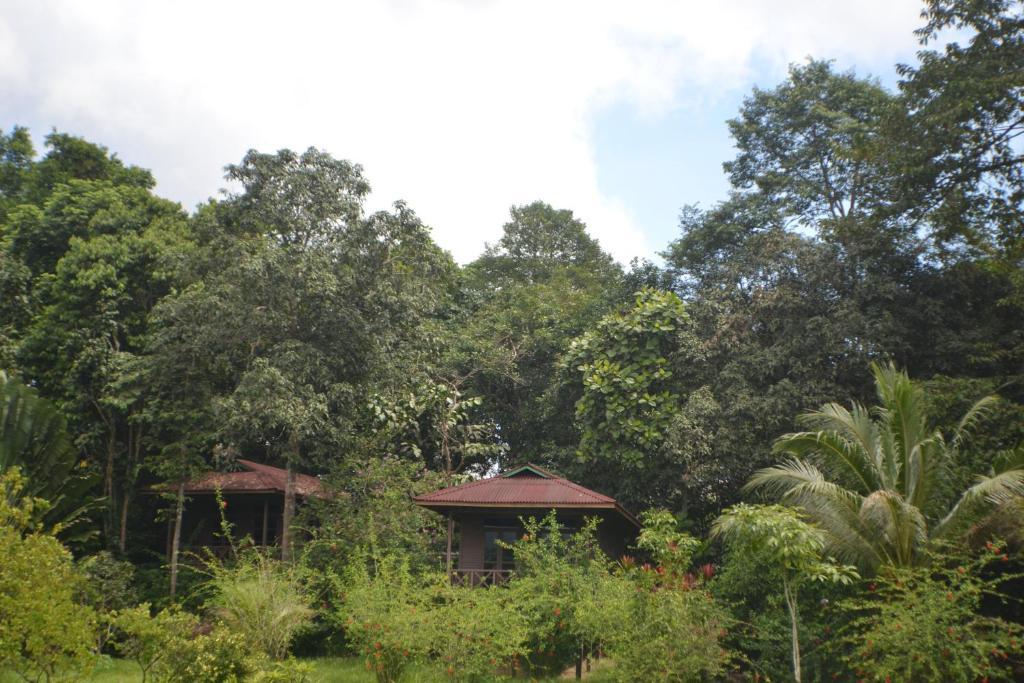 Sepilok Forest Edge Resort Room photo